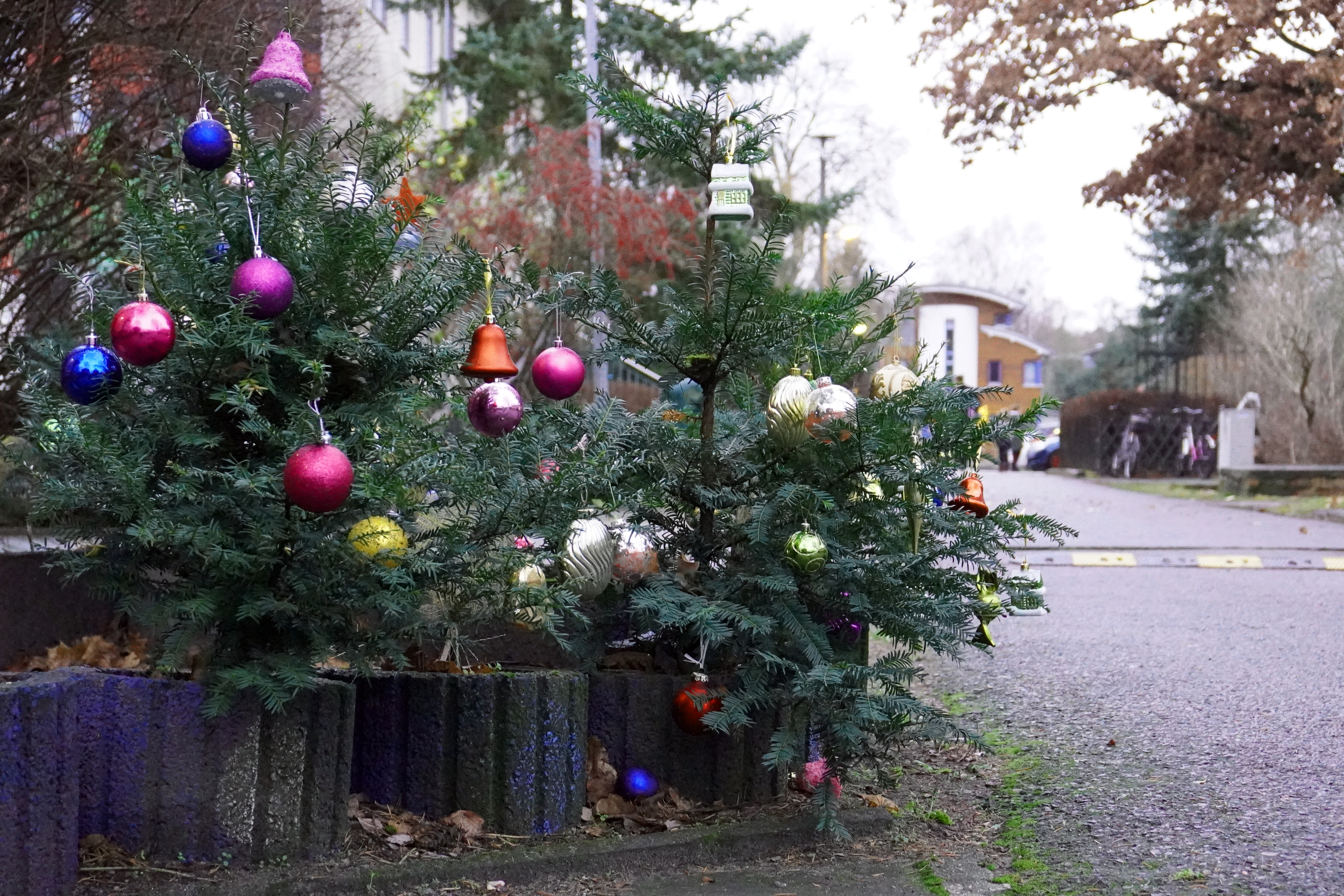 Weihnachtsglanz_1362.jpg